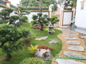 Bang-dac-diem-da-dam-buoc-san-vuon-chong-tron