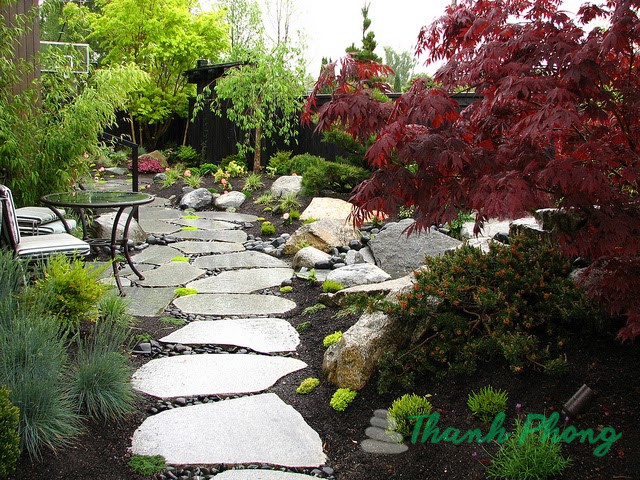 Da-dam-buoc-san-vuon-lat-loi-di-xanh-muot