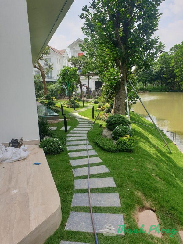 Da-dam-buoc-san-vuon-ung-dung-bac-thang-biet-thu