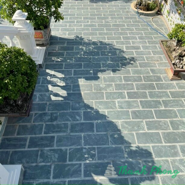 Da-xanh-reu-Thanh-Hoa-lat-san-vuon-tu-nhien