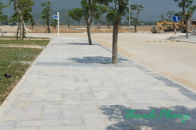 Mau-da-lat-via-he-gia-re-ben-dep-cho-duong-pho