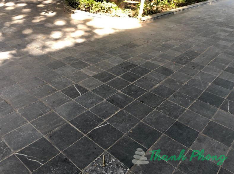 Da-Lat-San-Vuon-Tu-Nhien-Chong-Tron-Cao-Cap-2025