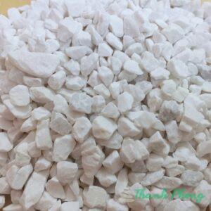 hạt trắng Dathanhphong.com