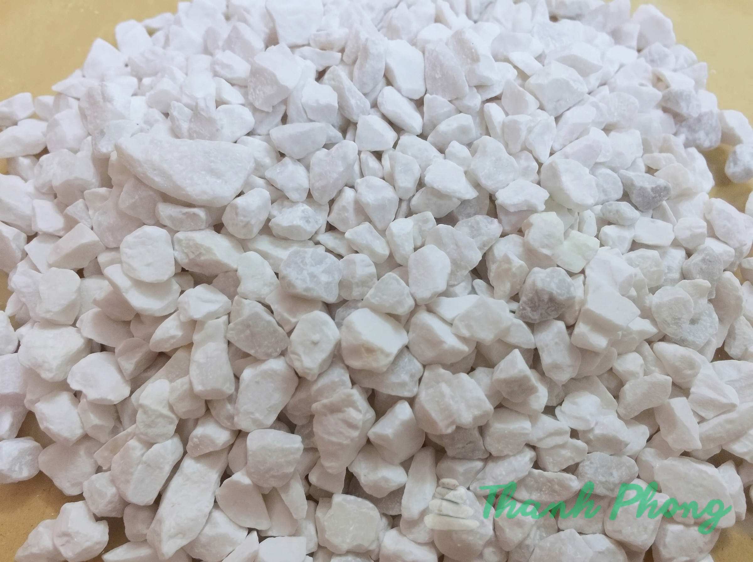 hạt trắng Dathanhphong.com