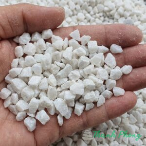 đá hạt trắng sẵn hàng giao toàn quốc