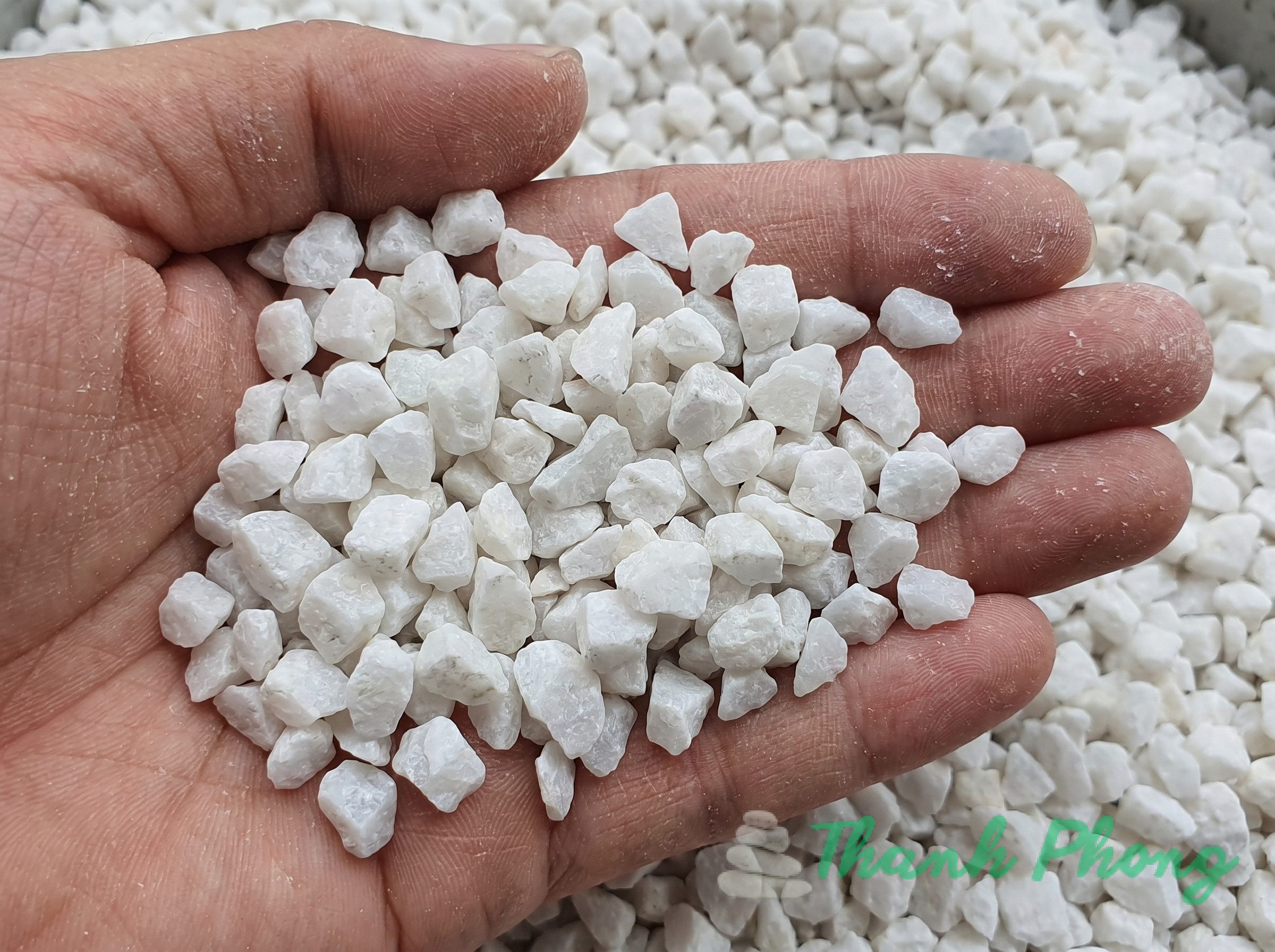 đá hạt trắng sẵn hàng giao toàn quốc
