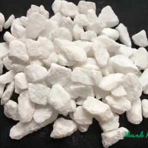 da-trang-muoi-mau-trang-1